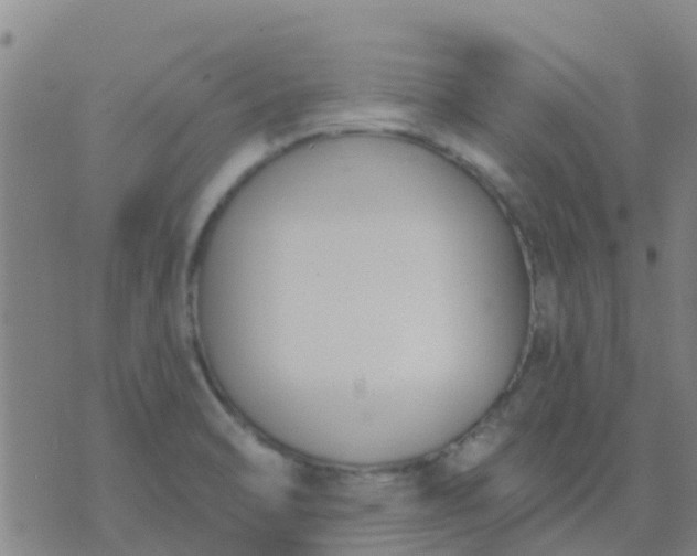 X0000074321470200609081955