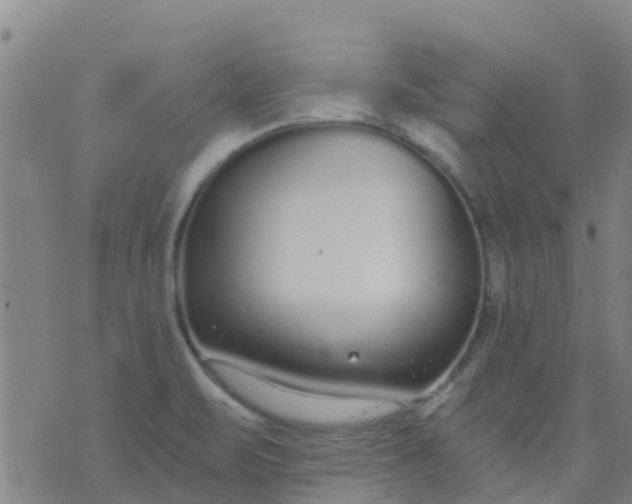 X0000074321471200609081955