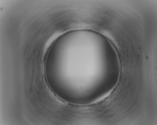 X0000074321472200609081955