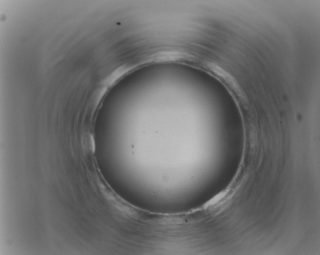 X0000074321473200609081955