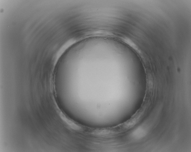 X0000074321474200609081955