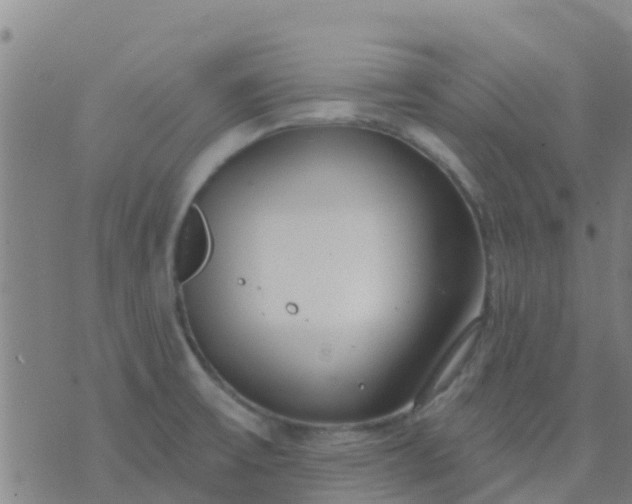 X0000074321475200609081955