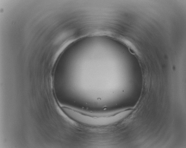 X0000074321476200609081955