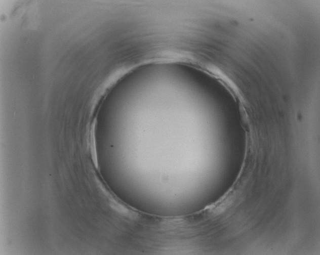 X0000074321477200609081955