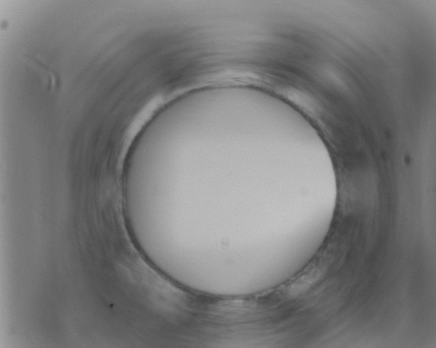 X0000074321478200609081955