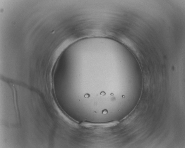 X0000074321479200609081955