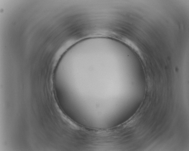 X0000074321480200609081955