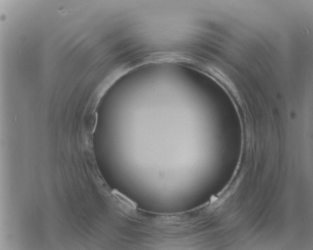 X0000074321481200609081954