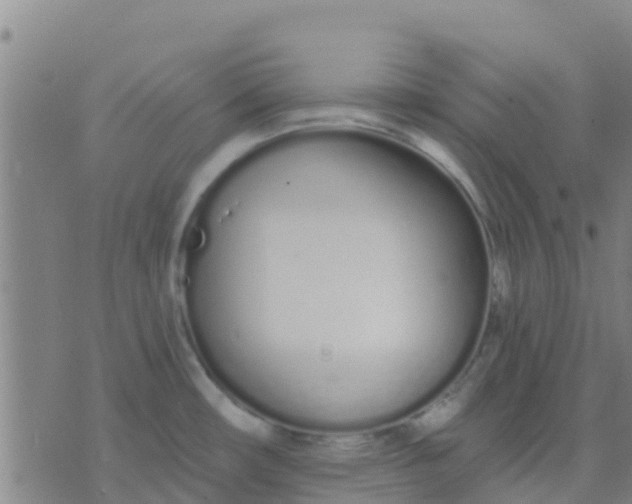 X0000074321482200609081954