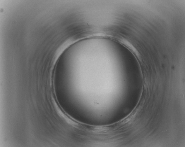 X0000074321483200609081954