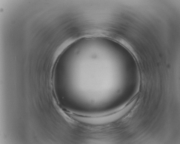 X0000074321485200609081954