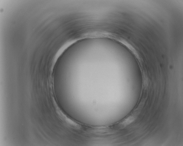 X0000074321486200609081954