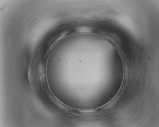 X0000074321487200609081954