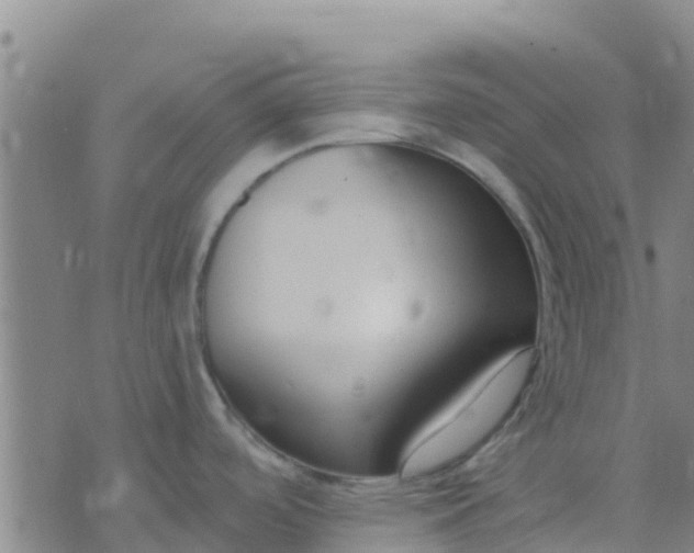 X0000074321488200609081954