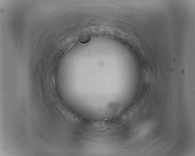 X0000074321489200609081954