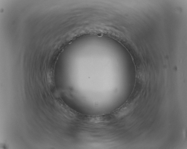 X0000074321490200609081954