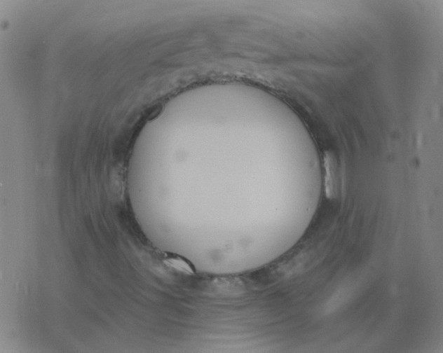 X0000074321491200609081954