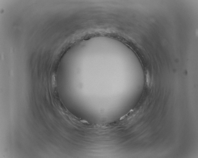 X0000074321492200609081954