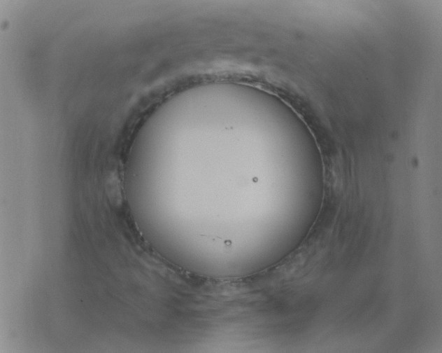 X0000074321493200609081954