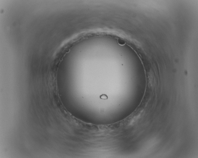 X0000074321494200609081954