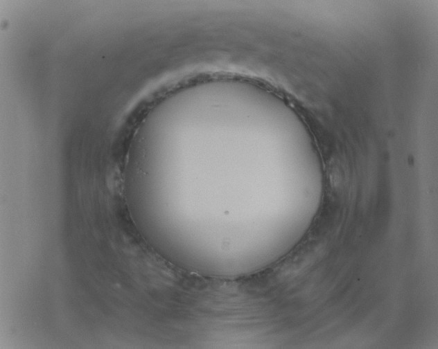 X0000074321495200609081954