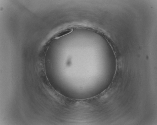 X0000074321496200609081954