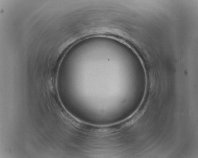 X0000074321497200609081954