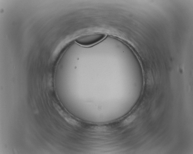 X0000074321499200609081954