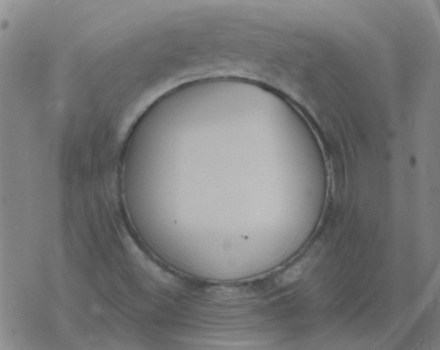 X0000074321500200609081954