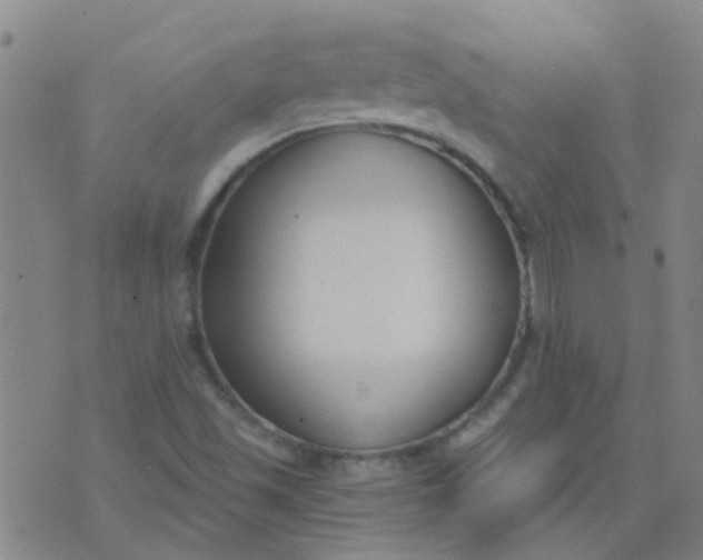 X0000074321501200609081954