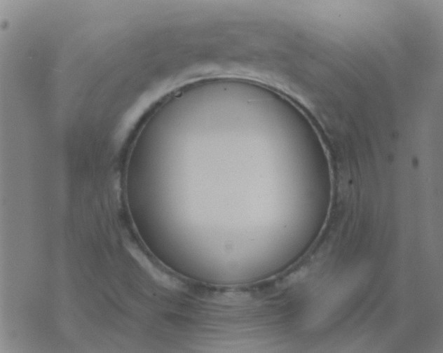 X0000074321503200609081954