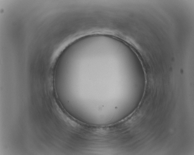 X0000074321504200609081954