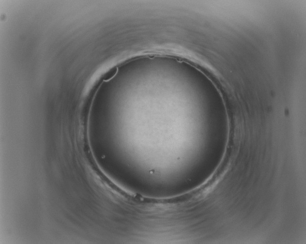 X0000074321506200609081954