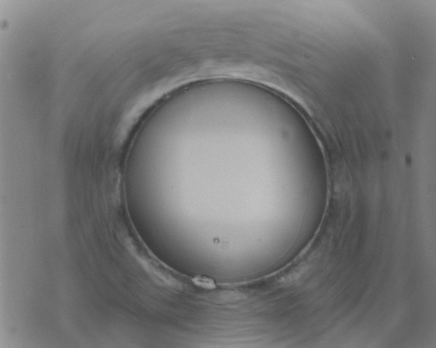 X0000074321507200609081954