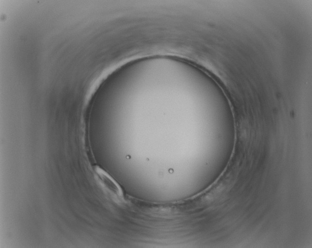 X0000074321508200609081954