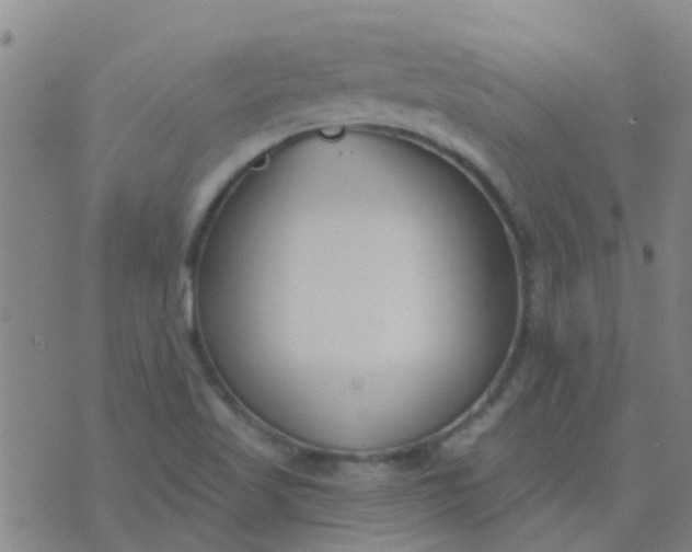 X0000074321509200609081954