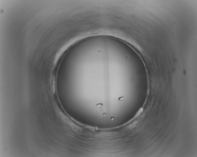 X0000074321510200609081954