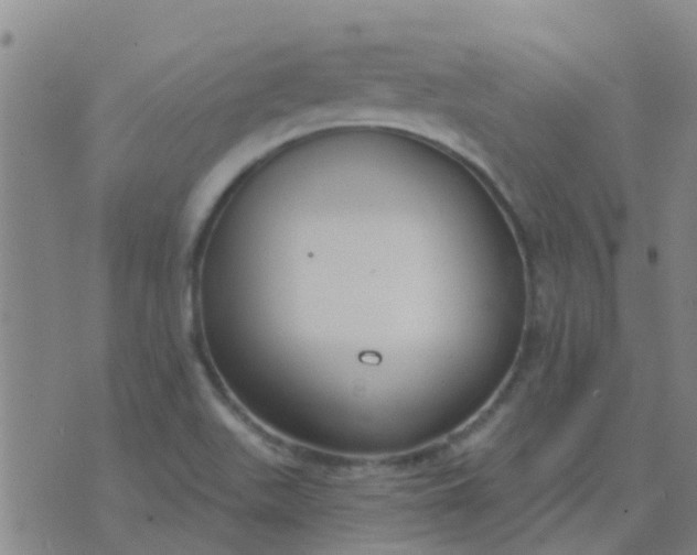 X0000074321511200609081954