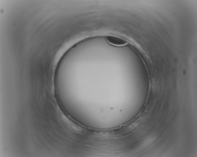 X0000074321512200609081954