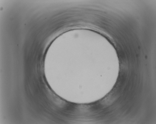 X0000074321514200609081954