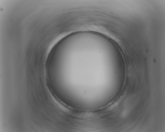 X0000074321517200609081954