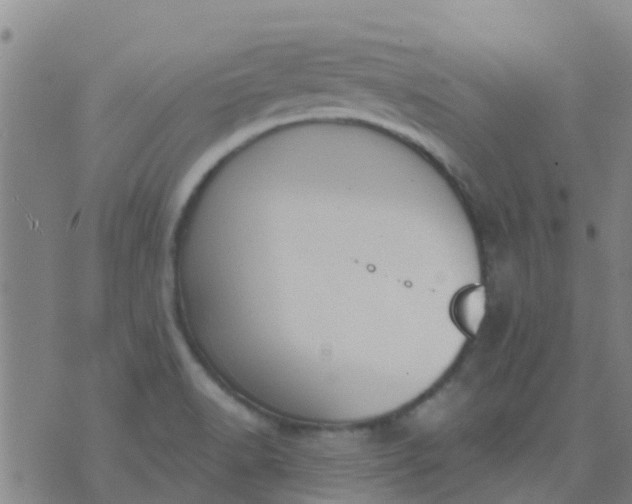 X0000074321518200609081954