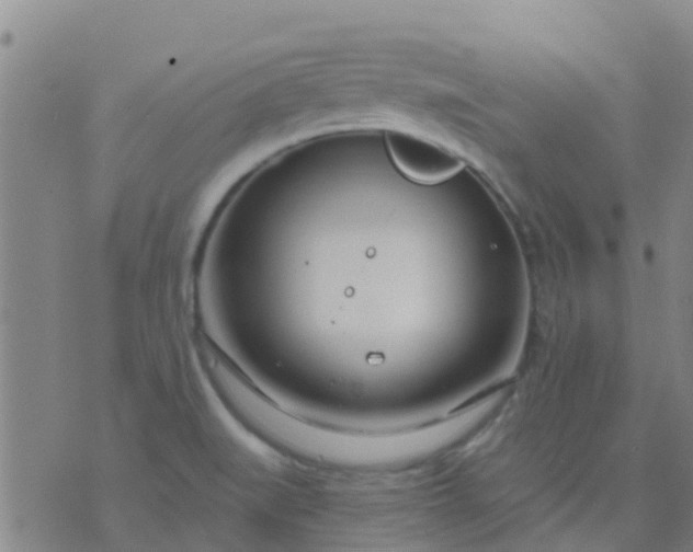 X0000074321519200609081954