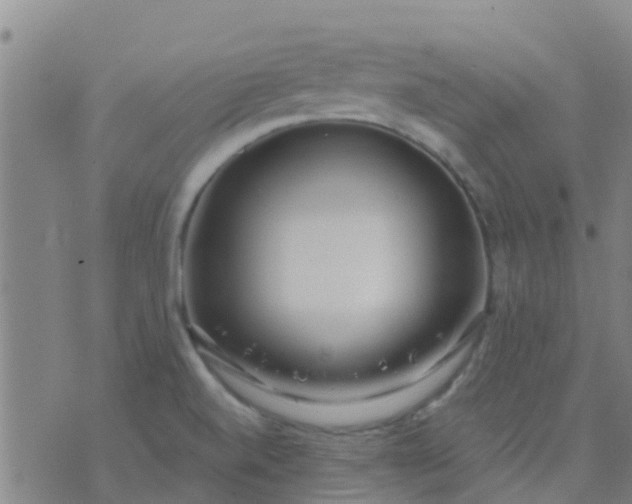 X0000074321520200609081954