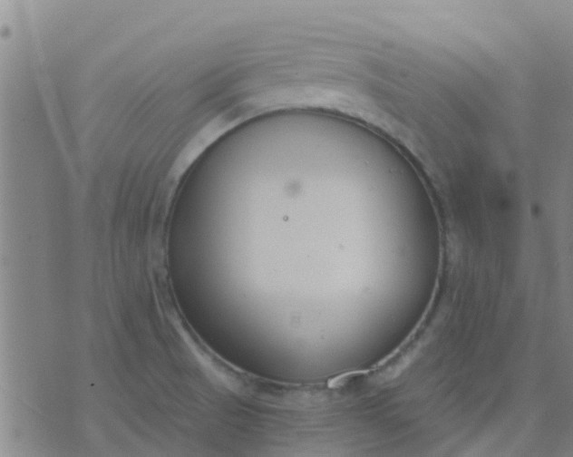 X0000074321521200609081954