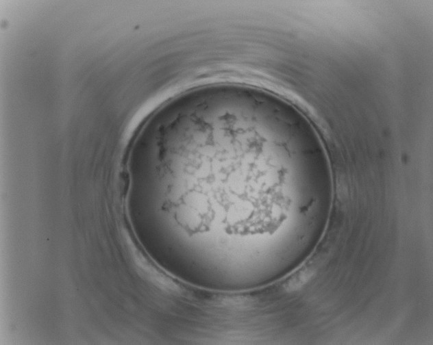 X0000074321522200609081954