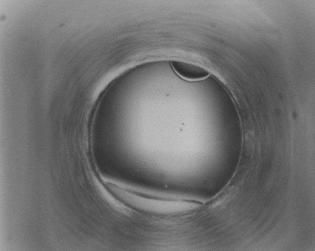 X0000074321523200609081954