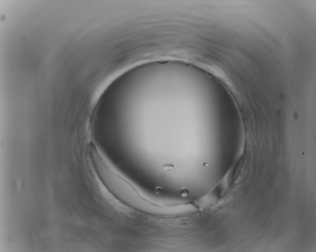 X0000074321524200609081954