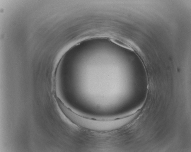 X0000074321528200609081954