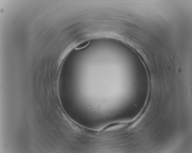 X0000074321529200609081954